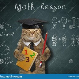 Maths Cat!