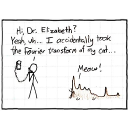 http://xkcd.com/26/ Fourier transform of cat