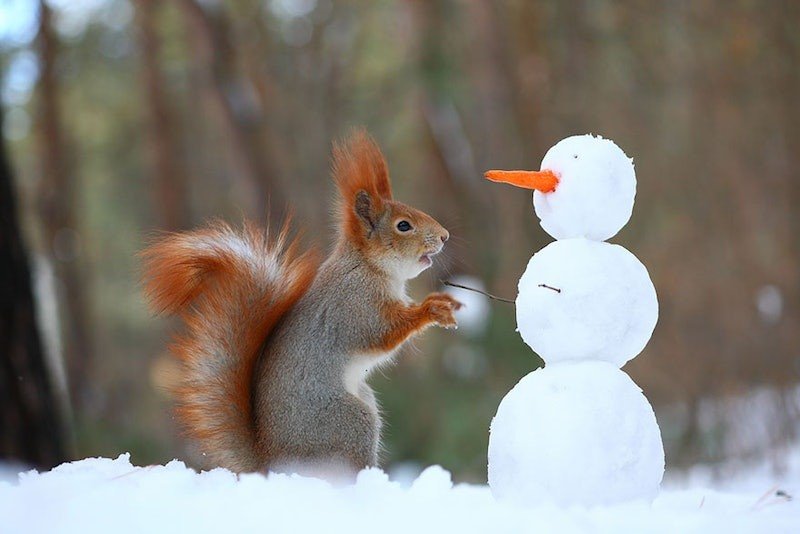 Squirrel standing in front of a tiny snowman
