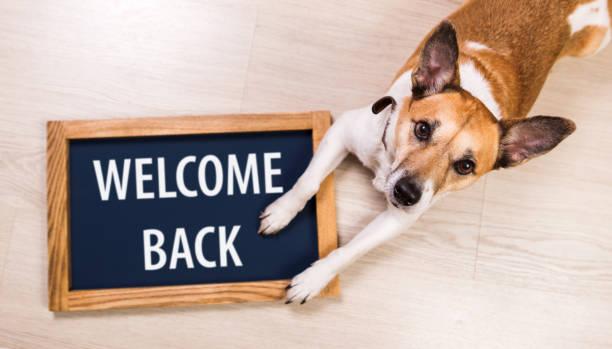 Dog holding a welcome back sign
