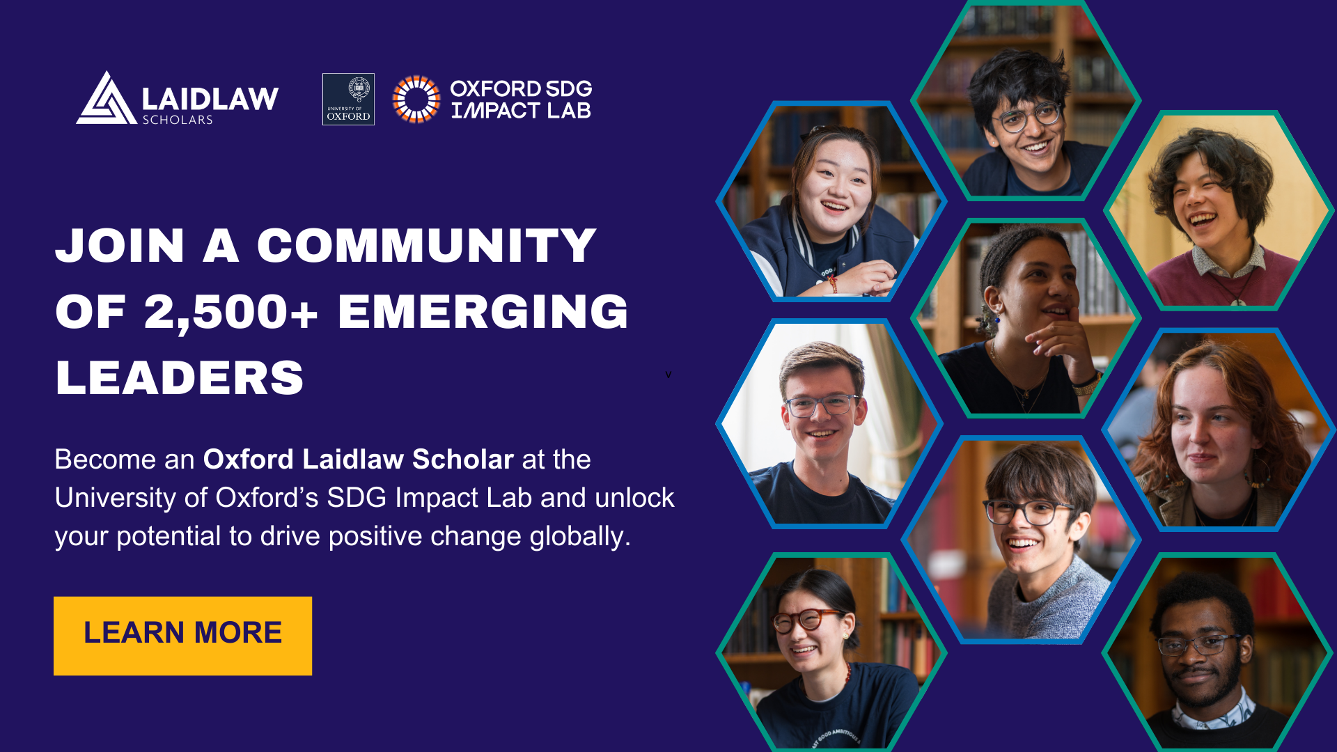 Laidlaw Scholars Flyer