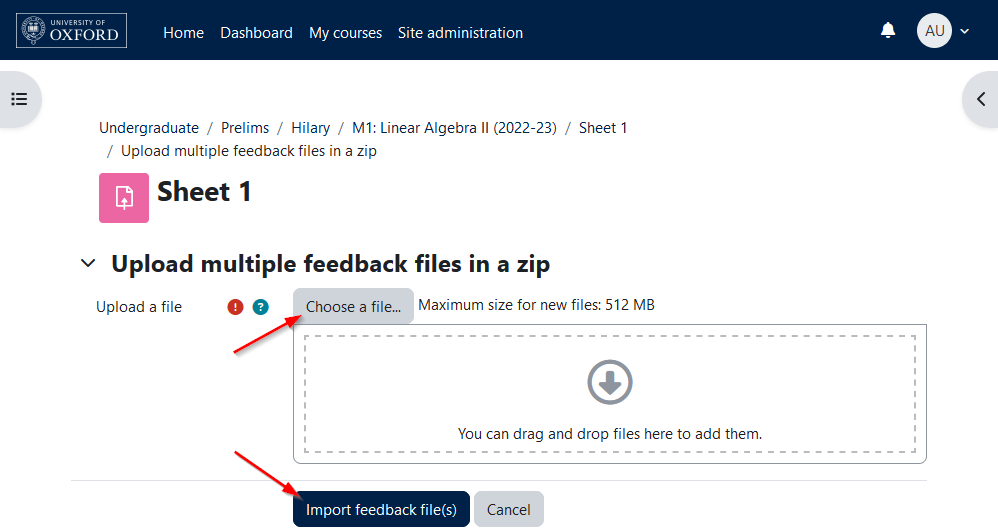 Screenshot showing the "Upload multiple feedback files in a zip" form, with arrows pointing to the "Choose a file" and "Import feedback file(s)" buttons