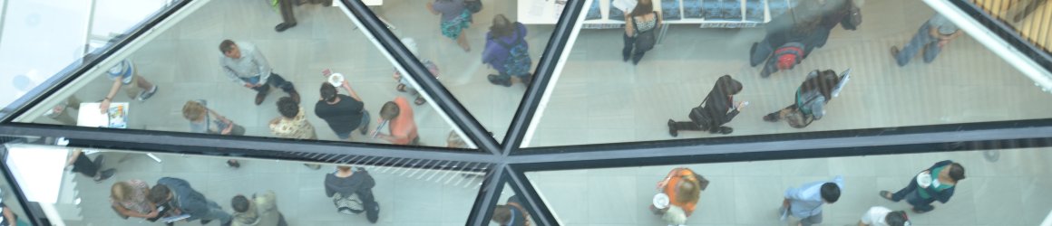 view down through the south atrium