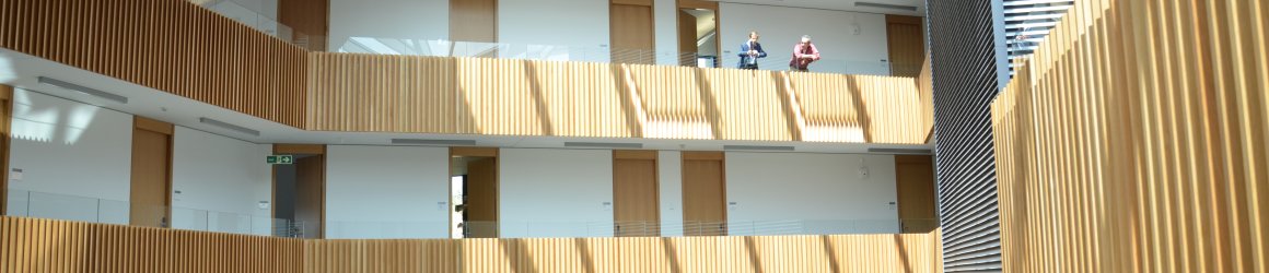 view across the south wing major atrium