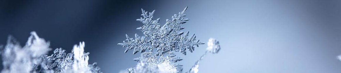 Tarski_snow