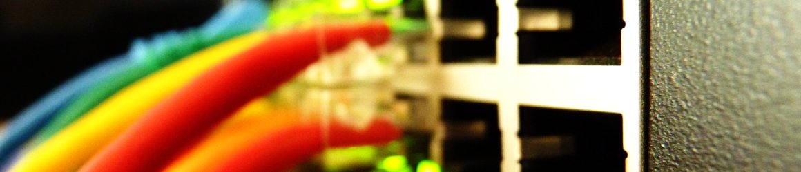 data cables going into a network switch