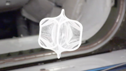 Image of soft cell in space