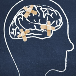 Image of brain with sticking plaster