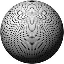 Vector field on a sphere