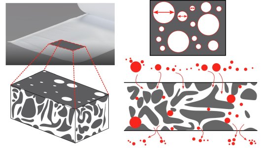 Illustrations of Arkady's size-structured model