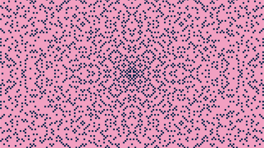 A pink rectangle with scattered tiny blue squares. There's a slightly higher density of blue squares near the middle, and there's reflective symmetry left-right, up-down, and in diagonal lines through the middle.