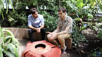 Chris and Javier and the plant