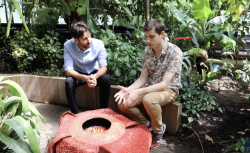 Chris and Javier and the plant