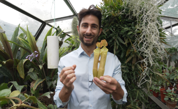 Image of Chris Thorogood in the Botanic garden