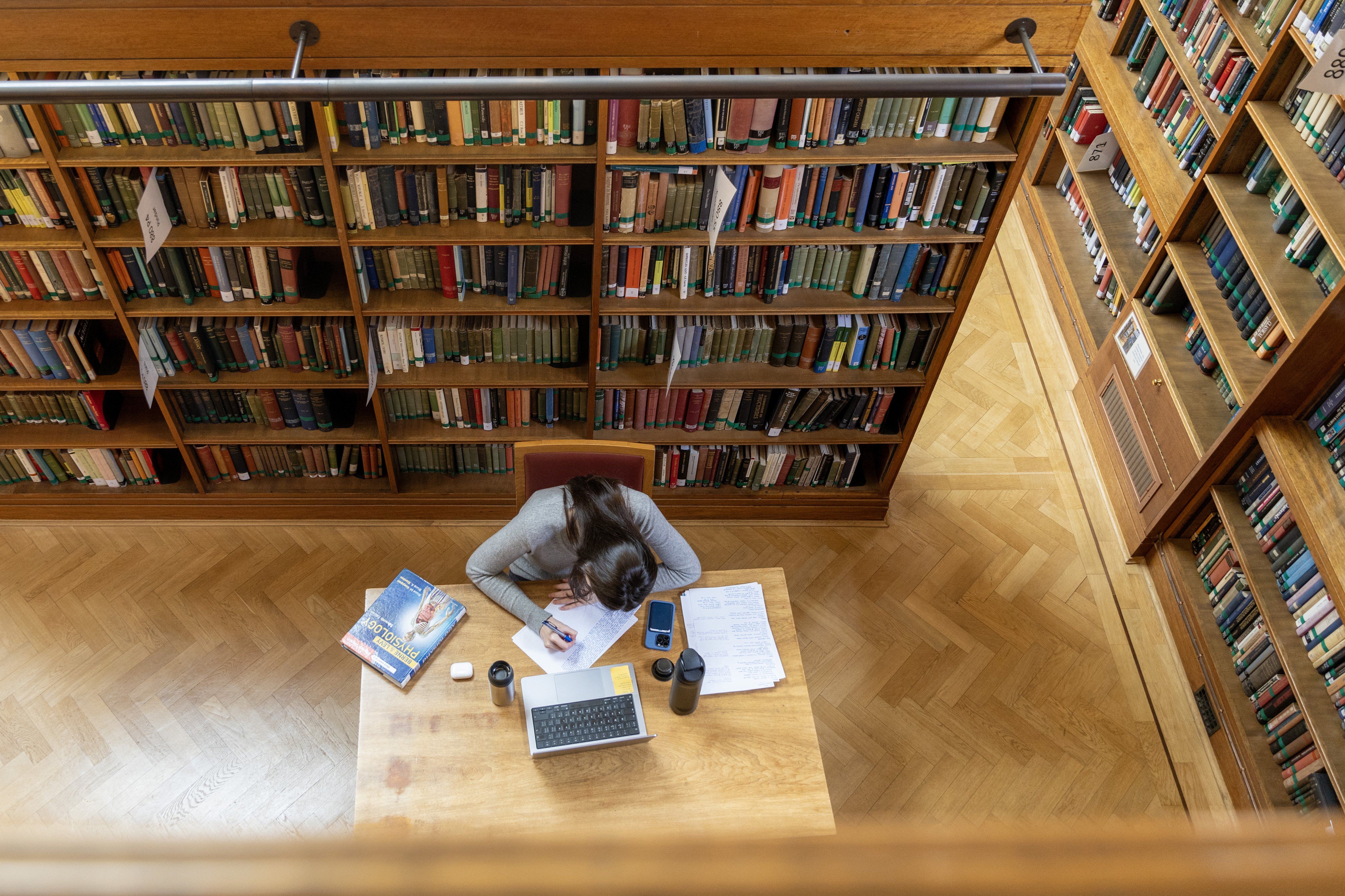 Student studying in a library