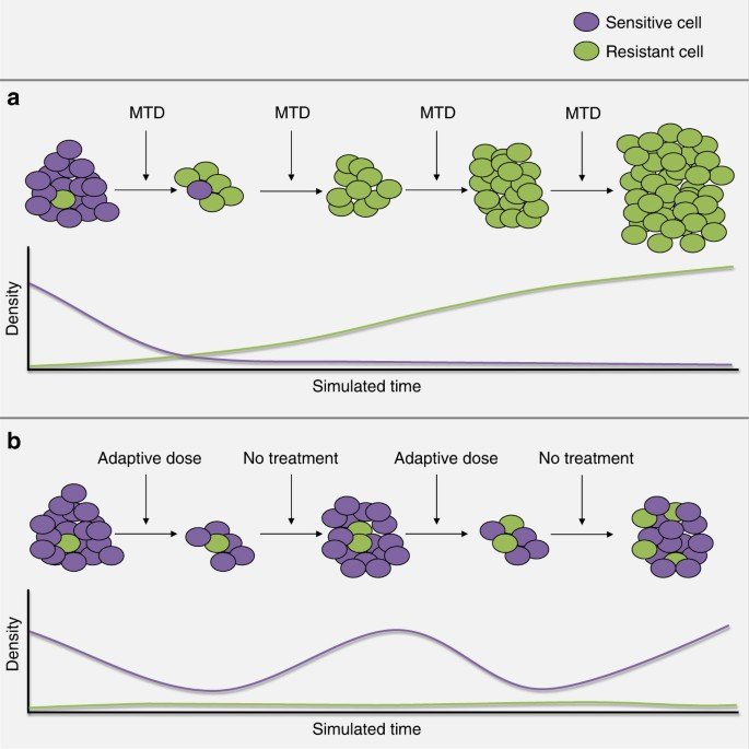 Illustration of the designed evolutionary dynamics in adaptive therapy