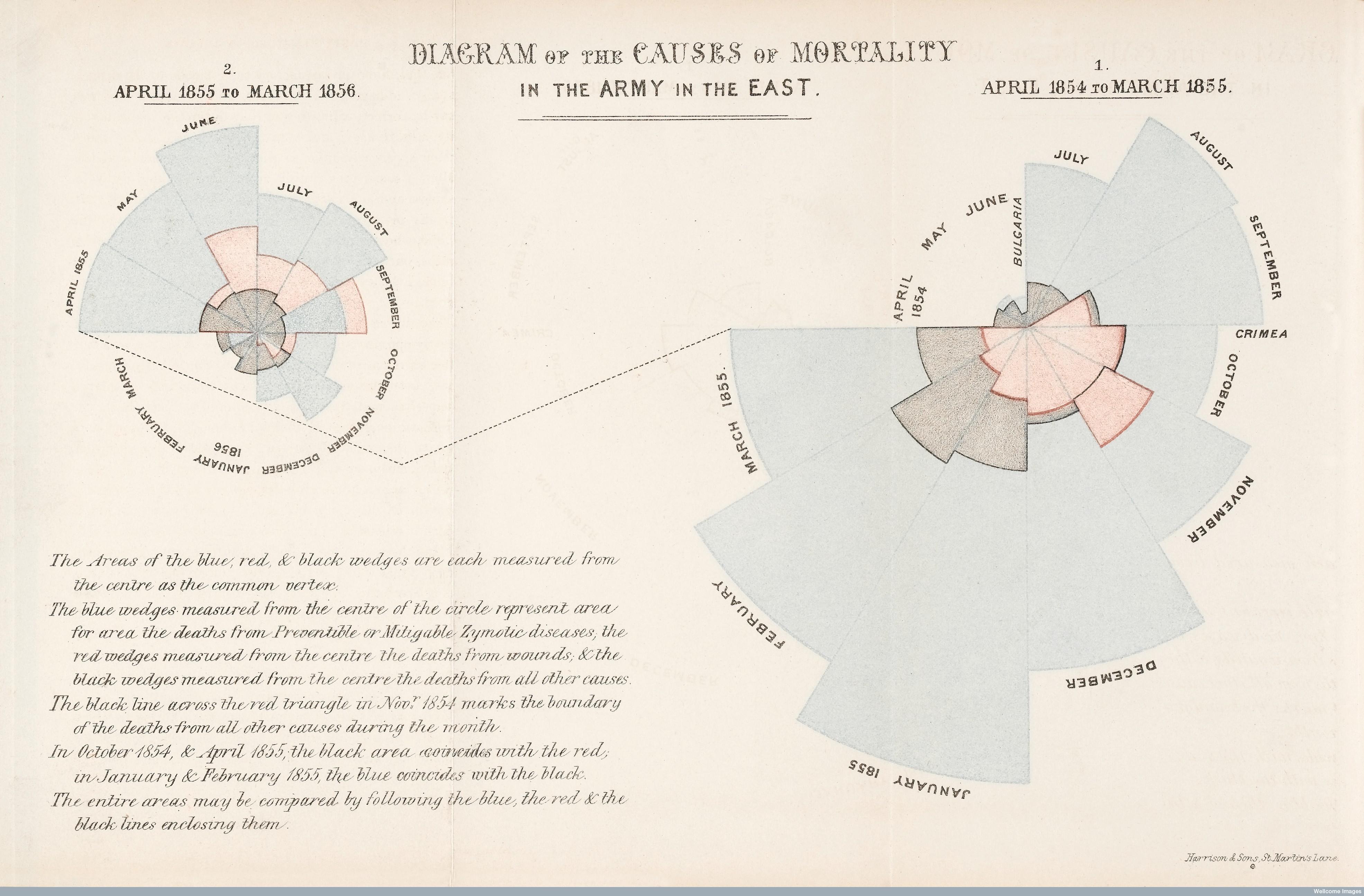 "Rose Diagram" by Florence Nightingale, frontispiece of  "England and Her Soldiers", by Harriet Martineau, London, 1859. Bodleian 226 b..42