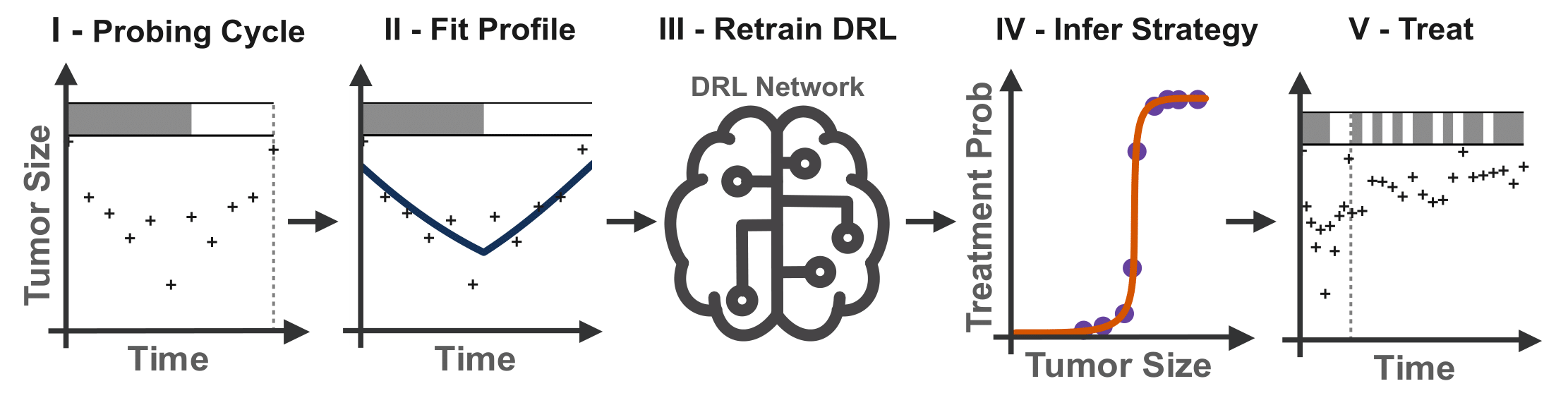 Stages of fine-tuning the DRL network Stages of fine-tuning the DRL network