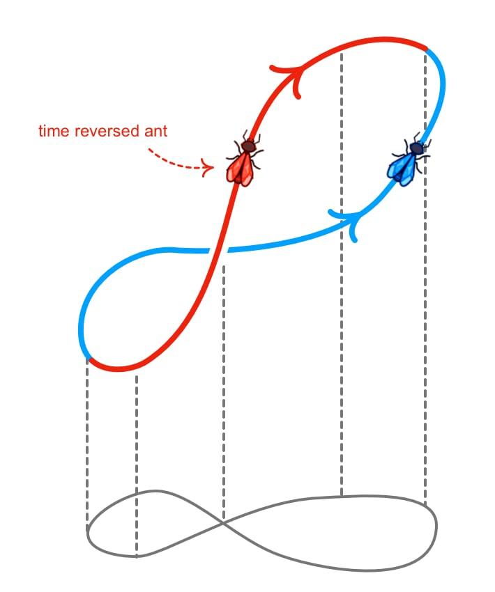 Circular movement decomposition