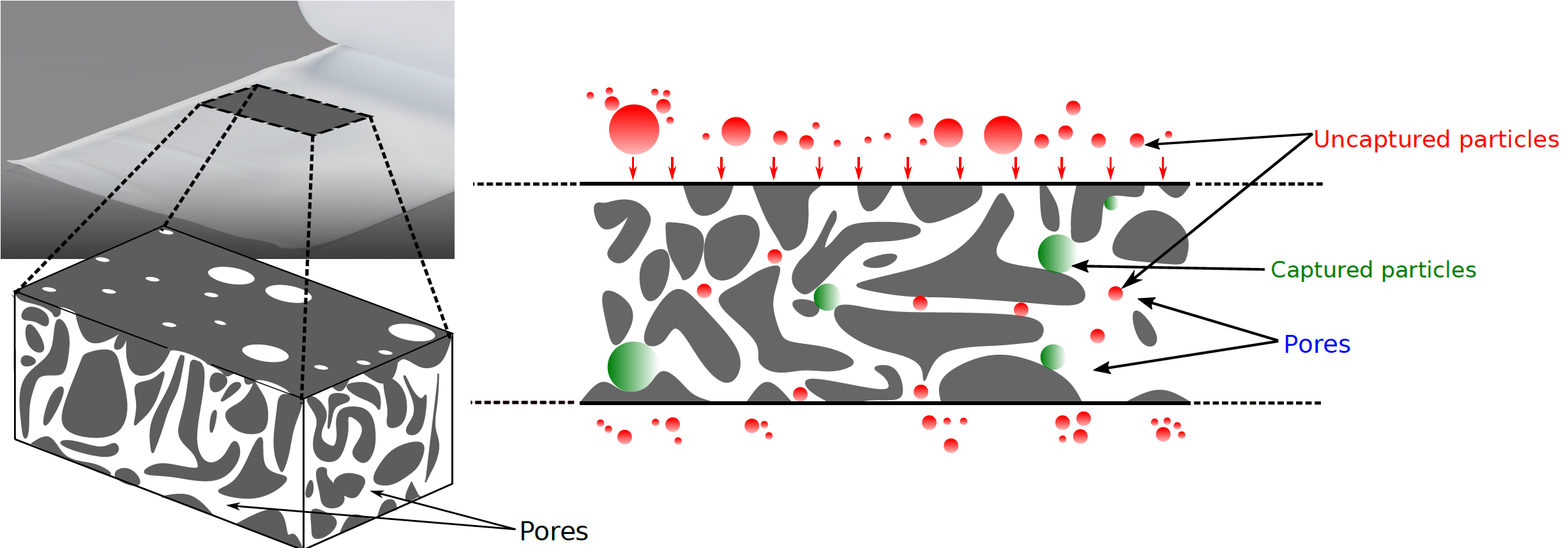 Filtration mechanism