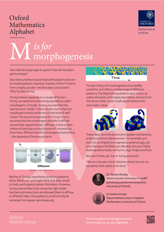 Downloadable poster of M is for morphogenesis