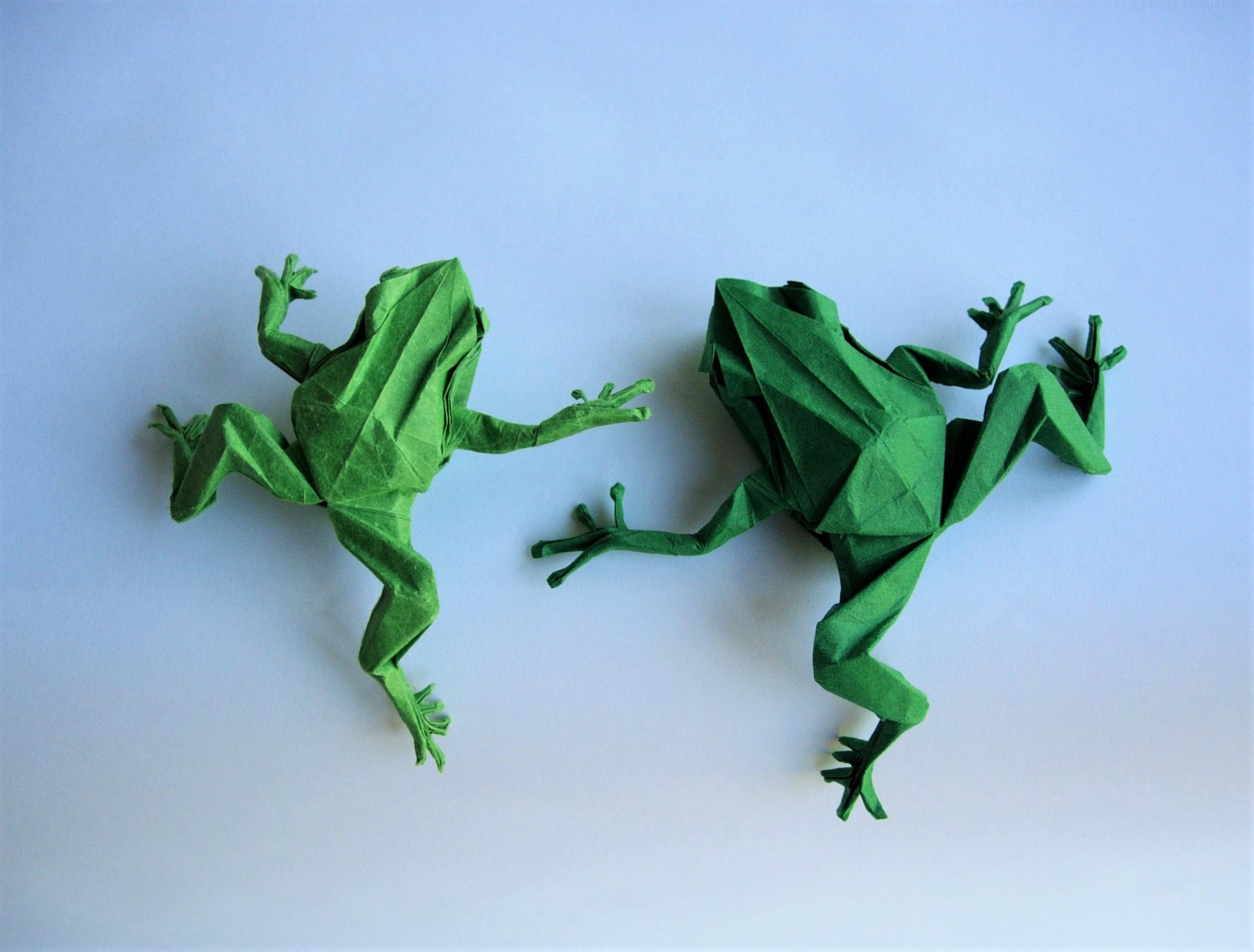Maximilian Purewal - Origami Frogs