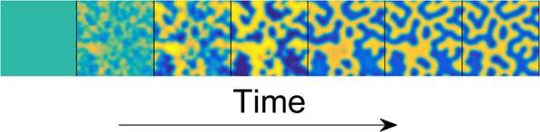 An image demonstrating spontaneous pattern emergence. 