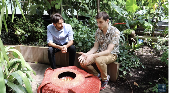Chris and Javier and the plant Chris and Javier and the plant