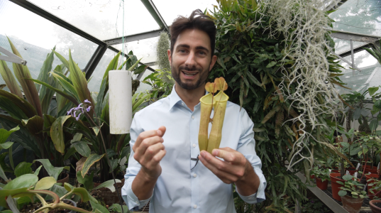 Image of Chris Thorogood in the Botanic garden