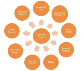 Image for aspects of research practise Image for aspects of research practise