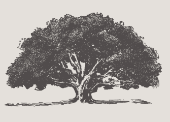 Logo (tree) Logo (tree)
