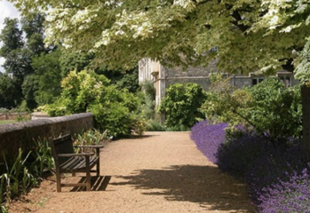 Merton College gardens Merton College gardens