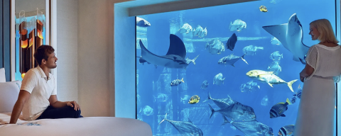 Underwater Suite at the Atlantis Hotel in Dubai Underwater Suite at the Atlantis Hotel in Dubai