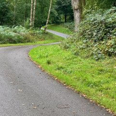 Wytham Woods Wytham Woods