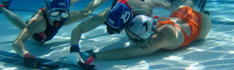 Picture of Octopush Picture of Octopush