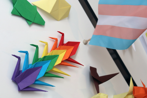 Origami rainbow cranes and trans pride flag
