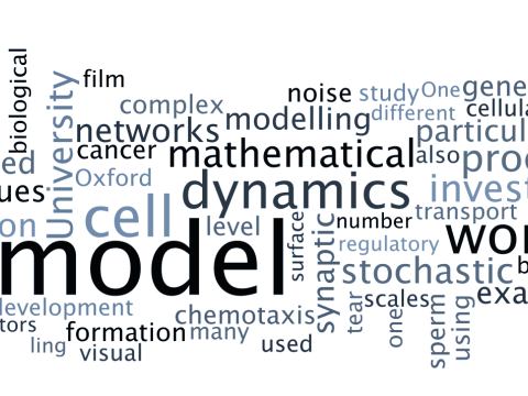 phd application oxford