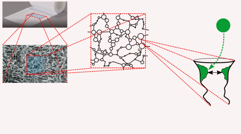 Diagram of the mathematical model Diagram of the mathematical model