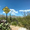 arizona landscape