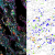 Images as per text