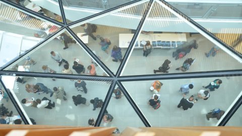 view down through the south atrium