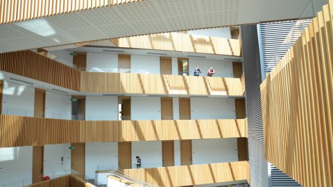 view across the south wing major atrium