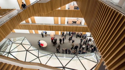view down through the aouth atrium