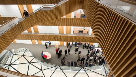 view down through the aouth atrium