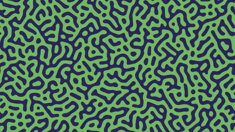 Turing_pattern_credit_Getty_Images