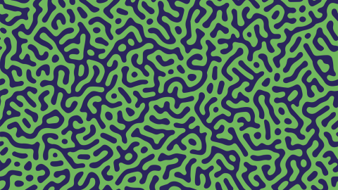 Turing_pattern_credit_Getty_Images Turing_pattern_credit_Getty_Images