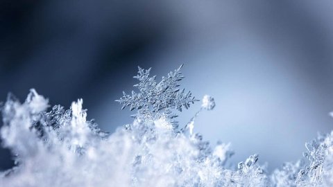 Tarski_snow Tarski_snow