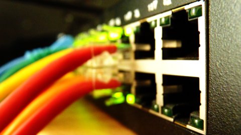 data cables going into a network switch